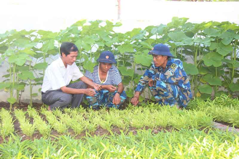 Rau tại Trường Sa