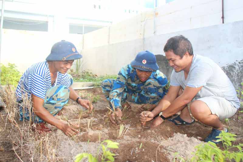 cây trồng tại đảo